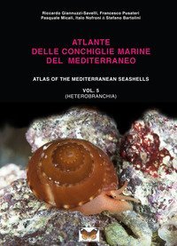 Atlante delle conchiglie marine del Mediterraneo. Ediz. italiana e inglese
