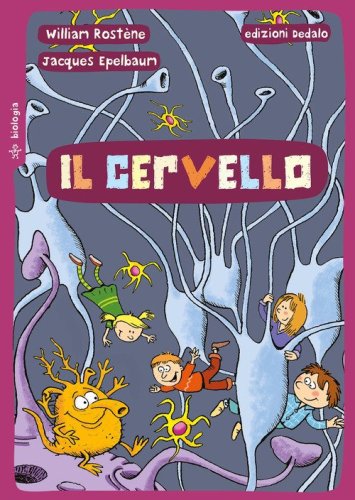 Il cervello