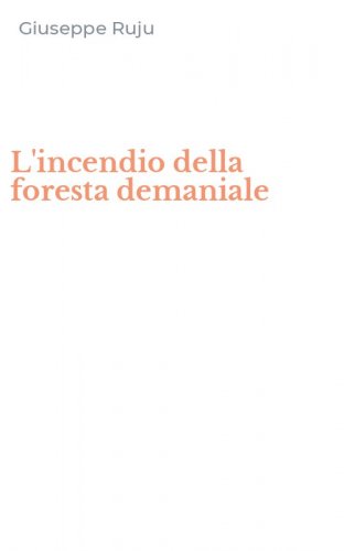 L'incendio della foresta demaniale