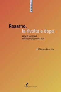 Rosarno, la rivolta e dopo. Cosa &egrave; successo nelle campagne del Sud
