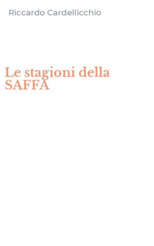 Le stagioni della SAFFA