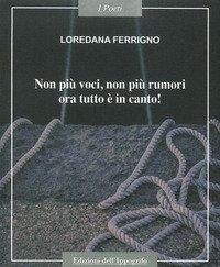 Non pi&ugrave; voci non pi&ugrave; rumori, ora tutto &egrave; in canto!