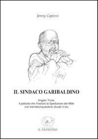 Il sindaco garibaldino. Angelo Troisi, il patriota che finanzi&ograve; la spedizione dei Mille con tremilacinquecento ducati d'oro