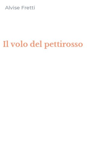Il volo del pettirosso