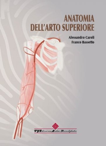 Anatomia dell'arto superiore