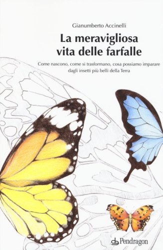 La meravigliosa vita delle farfalle. Come nascono, come si trasformano, cosa possiamo imparare dagli insetti pi&ugrave; belli della Terra