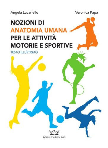 Nozioni di anatomia umana per le attivit&agrave; motorie e sportive