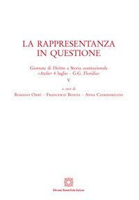 La rappresentanza in questione