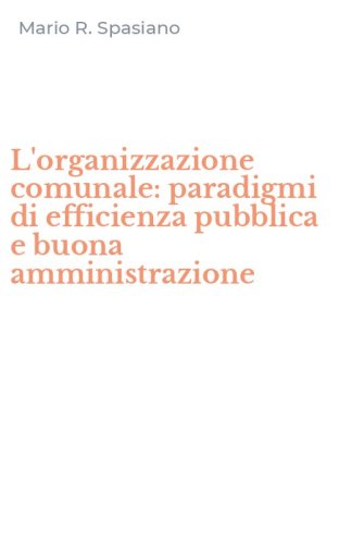 L'organizzazione comunale: paradigmi di efficienza pubblica e buona amministrazione