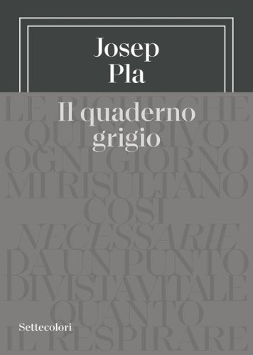 Il quaderno grigio