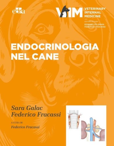 Endocrinologia del cane