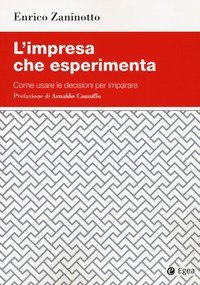 L'impresa che esperimenta. Come usare le decisioni per imparare