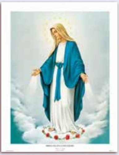 IMMACOLATA CONCEZIONE 35x45