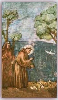 SAN FRANCESCO SANTINO 7X12