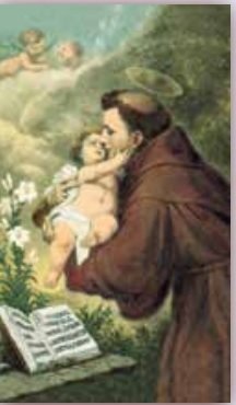 S. ANTONIO SANTINO 7X12