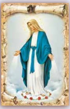 IMMACOLATA CONCEZIONE