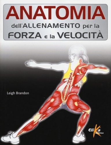 Anatomia dell'allenamento per la forza e la velocit&agrave;