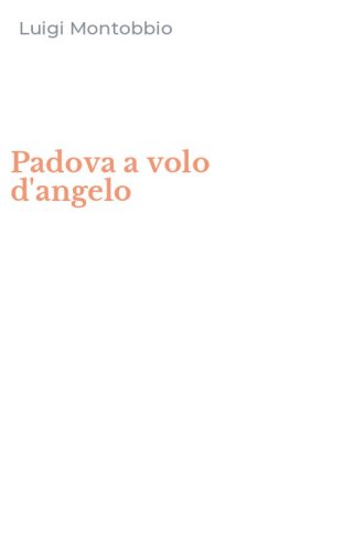 Padova a volo d'angelo