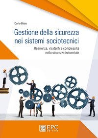 Gestione della sicurezza nei sistemi sociotecnici. Resilienza, incidenti e complessit&agrave; nella sicurezza industriale