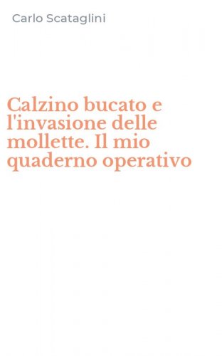 Calzino bucato e l'invasione delle mollette. Il mio quaderno operativo