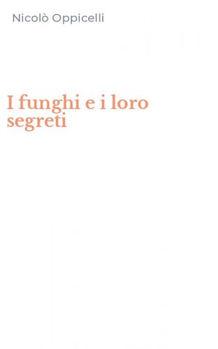 I funghi e i loro segreti