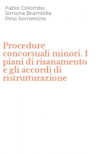 Procedure concorsuali minori. I piani di risanamento e gli accordi di ristrutturazione