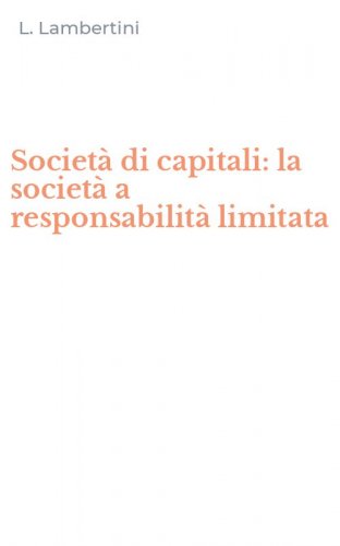 Societ&agrave; di capitali: la societ&agrave; a responsabilit&agrave; limitata