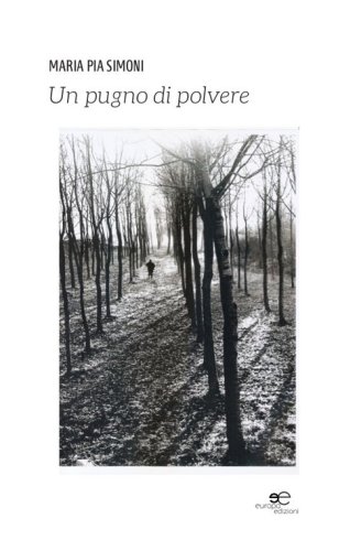 Un pugno di polvere