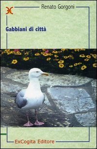 Gabbiani di citt&agrave;