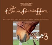 The California Spade bit horse