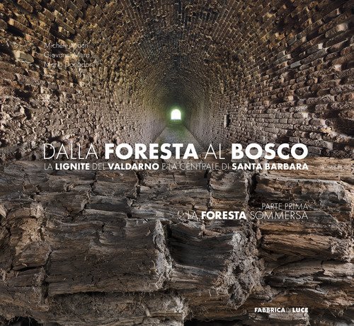 Dalla foresta al bosco. La lignite del Valdarno e la centrale di Santa Barbara. Parte prima: la foresta sommersa
