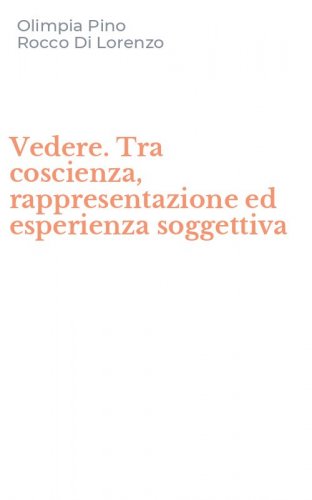 Vedere. Tra coscienza, rappresentazione ed esperienza soggettiva