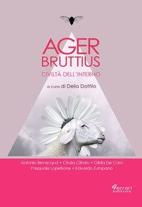 Ager Bruttius. Civilt&agrave; dell'interno