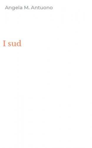 I sud