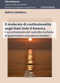 Il sindacato di costituzionalit&agrave; negli Stati Uniti d'America. L'accentramento del controllo tra frame of government e procedural remedies
