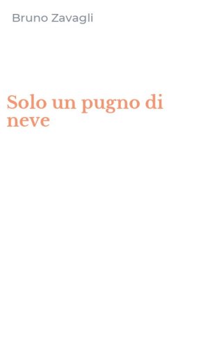 Solo un pugno di neve