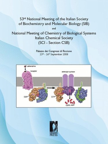 53rd National Meeting of the Italian Society of Biochemistryand Molecular Biology (SIB)andNational Meeting of Chemistry of Biological Systems - Italian Chemical Society (SCI - Section CSB). Palazzo dei Congressi di Riccione (23rd - 26th September 2008)