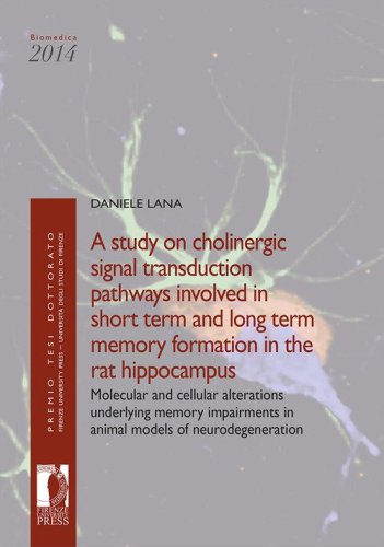 A study on cholinergic signal transduction pathways involved in short term and long term memory formation in the rat hippocampus. Molecular and cellular alterations underlying memory impairments in animal models of neurodegeneration