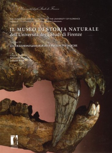 Il Museo di storia naturale dell'Universit&agrave; degli studi di Firenze. Le collezioni geologiche e paleontologiche. Ediz. italiana e inglese
