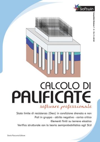 Calcolo di palificate. Software professional