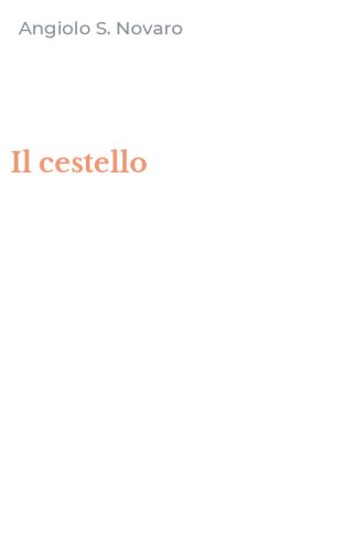 Il cestello