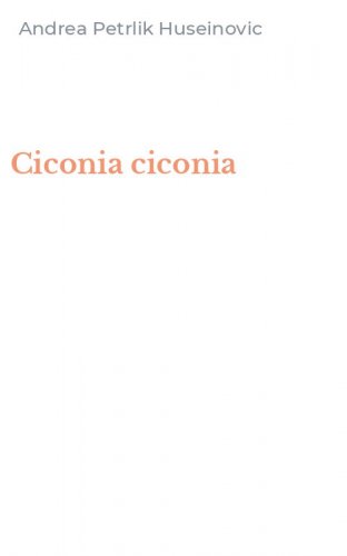 Ciconia ciconia