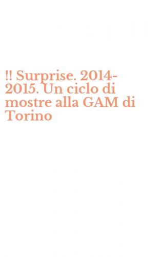 !! Surprise. 2014-2015. Un ciclo di mostre alla GAM di Torino