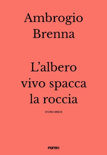 L'albero vivo spacca la roccia