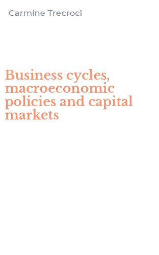 Business cycles, macroeconomic policies and capital markets