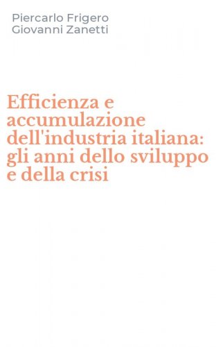 Efficienza e accumulazione dell'industria italiana: gli anni dello sviluppo e della crisi