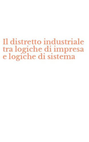 Il distretto industriale tra logiche di impresa e logiche di sistema