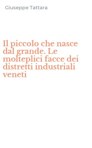 Il piccolo che nasce dal grande. Le molteplici facce dei distretti industriali veneti