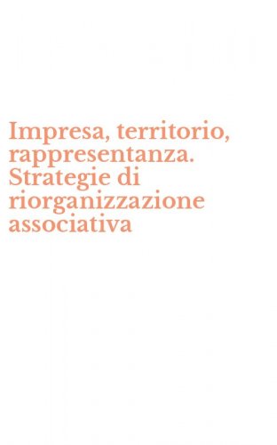 Impresa, territorio, rappresentanza. Strategie di riorganizzazione associativa