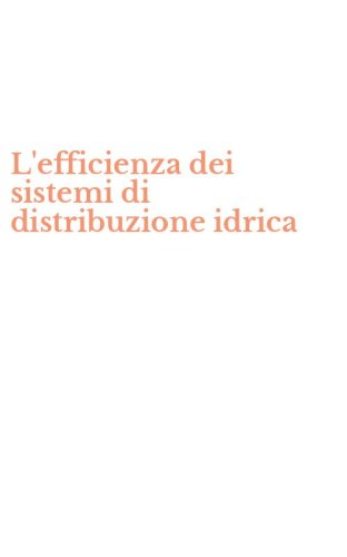 L'efficienza dei sistemi di distribuzione idrica